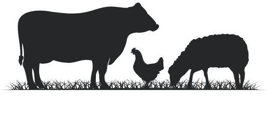 Livestock